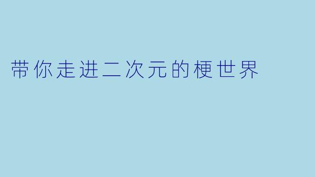 带你走进二次元的梗世界
