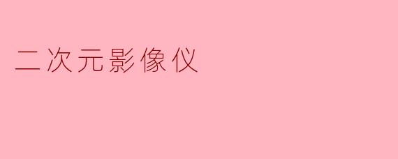 二次元影像仪