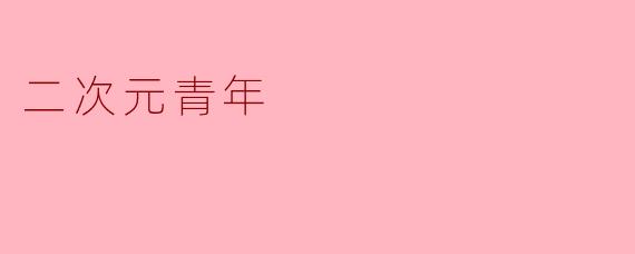 二次元青年