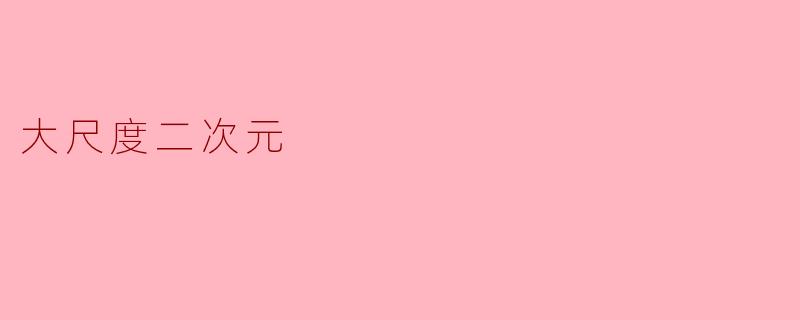 大尺度二次元