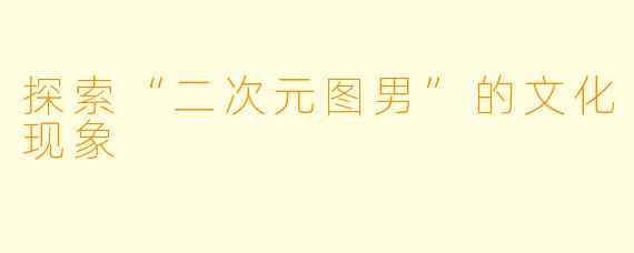 探索“二次元图男”的文化现象