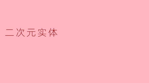 二次元实体