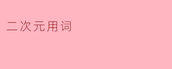 二次元用词