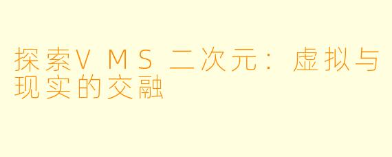 探索VMS二次元：虚拟与现实的交融