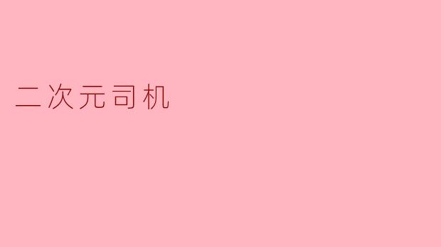 二次元司机