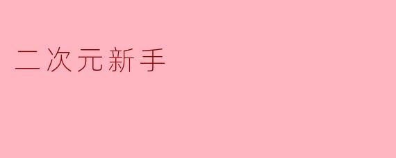 二次元新手