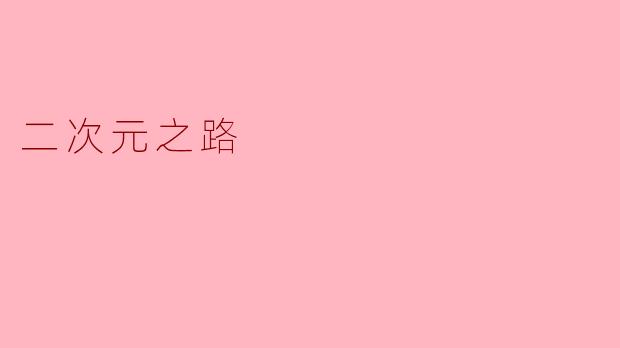 二次元之路