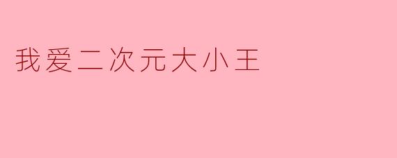 我爱二次元大小王