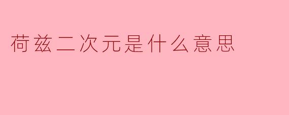荷兹二次元是什么意思