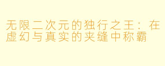 无限二次元的独行之王：在虚幻与真实的夹缝中称霸