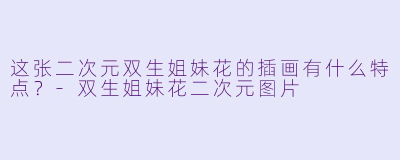 这张二次元双生姐妹花的插画有什么特点?