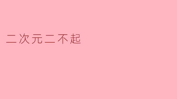 二次元二不起