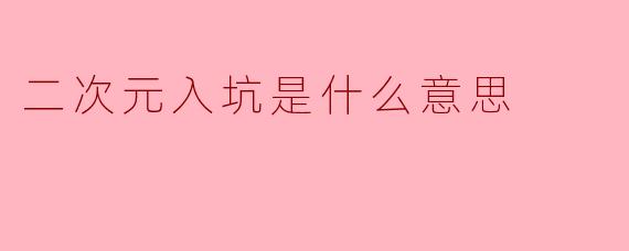 二次元入坑是什么意思