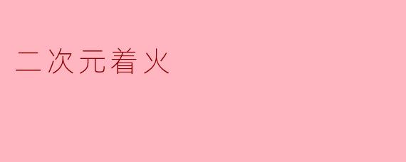 二次元着火