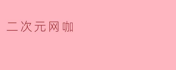 二次元网咖