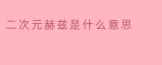 二次元赫兹是什么意思