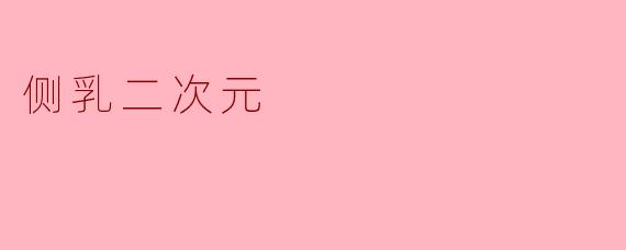 侧乳二次元