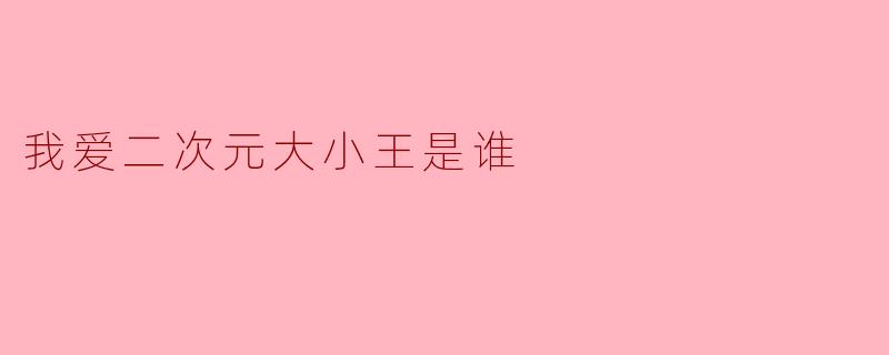 我爱二次元大小王是谁