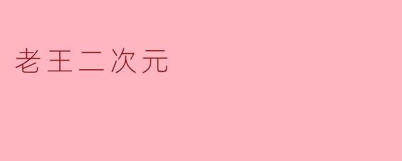 老王二次元