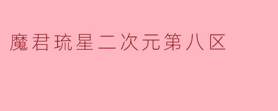 魔君琉星二次元第八区