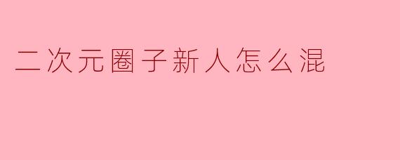 二次元圈子新人怎么混