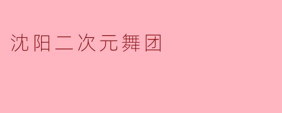沈阳二次元舞团