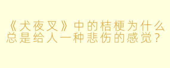 《犬夜叉》中的桔梗为什么总是给人一种悲伤的感觉？