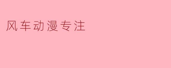 风车动漫专注