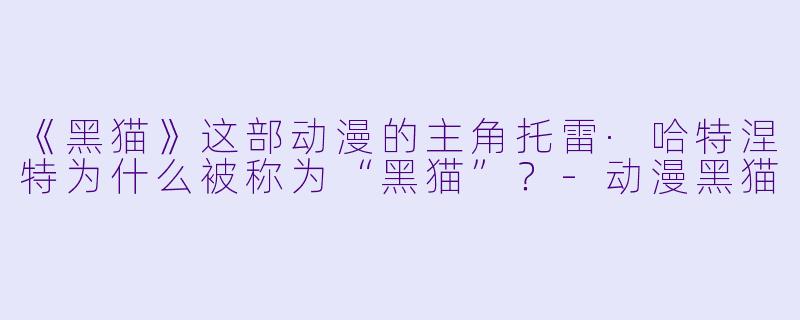 《黑猫》这部动漫的主角托雷·哈特涅特为什么被称为“黑猫”？-动漫黑猫