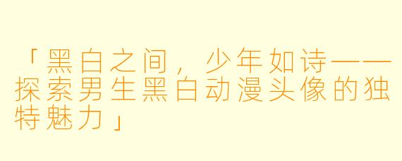 「黑白之间，少年如诗——探索男生黑白动漫头像的独特魅力」