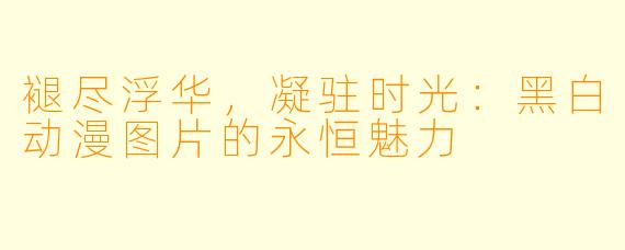褪尽浮华，凝驻时光：黑白动漫图片的永恒魅力