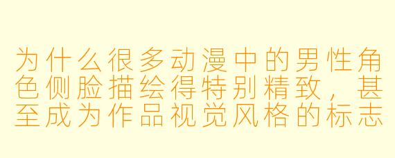 为什么很多动漫中的男性角色侧脸描绘得特别精致，甚至成为作品视觉风格的标志之一？