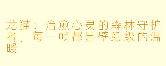 龙猫:治愈心灵的森林守护者,每一帧都是壁纸级的温暖