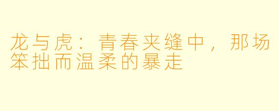 龙与虎：青春夹缝中，那场笨拙而温柔的暴走