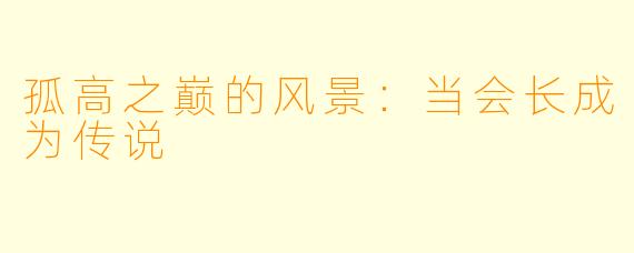 孤高之巅的风景：当会长成为传说