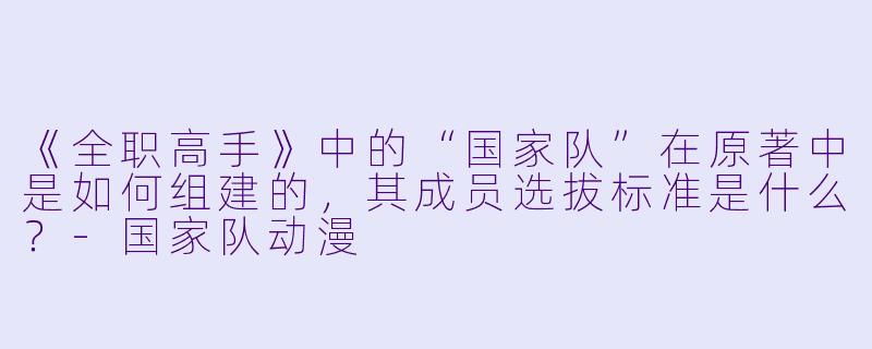 《全职高手》中的“国家队”在原著中是如何组建的，其成员选拔标准是什么？-国家队动漫