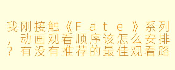 我刚接触《Fate》系列,动画观看顺序该怎么安排?有没有推荐的最佳观看路线?