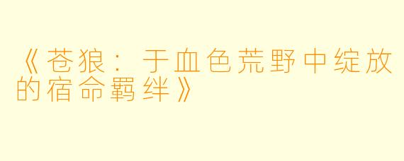 《苍狼：于血色荒野中绽放的宿命羁绊》