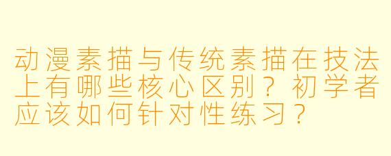 动漫素描与传统素描在技法上有哪些核心区别？初学者应该如何针对性练习？