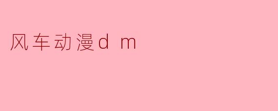 风车动漫dm