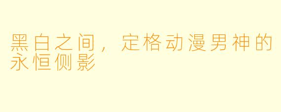 黑白之间，定格动漫男神的永恒侧影