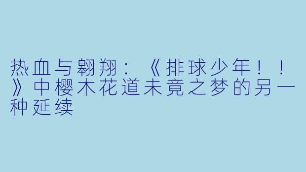 热血与翱翔：《排球少年！！》中樱木花道未竟之梦的另一种延续