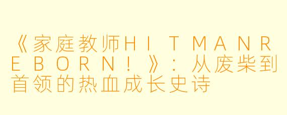 《家庭教师HITMANREBORN！》：从废柴到首领的热血成长史诗