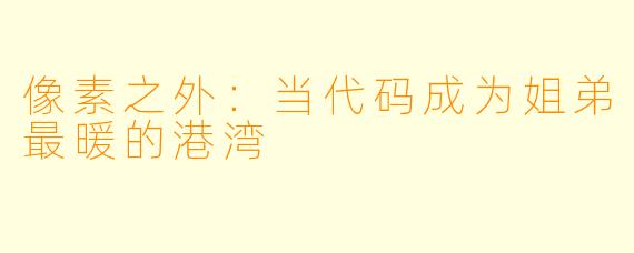像素之外：当代码成为姐弟最暖的港湾