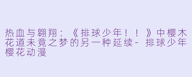 热血与翱翔：《排球少年！！》中樱木花道未竟之梦的另一种延续-排球少年樱花动漫