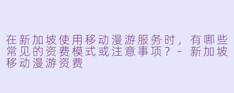 在新加坡使用移动漫游服务时，有哪些常见的资费模式或注意事项？