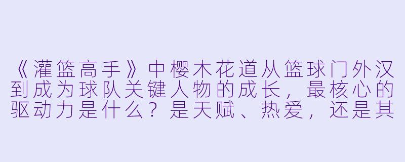 《灌篮高手》中樱木花道从篮球门外汉到成为球队关键人物的成长，最核心的驱动力是什么？是天赋、热爱，还是其他因素？-动漫经典人物