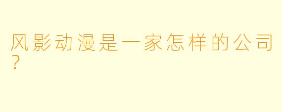 风影动漫是一家怎样的公司？