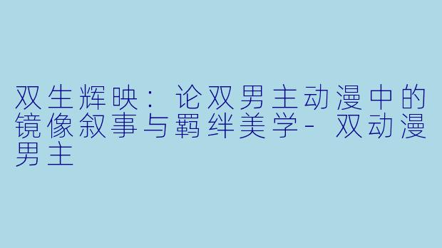 双生辉映：论双男主动漫中的镜像叙事与羁绊美学-双动漫男主