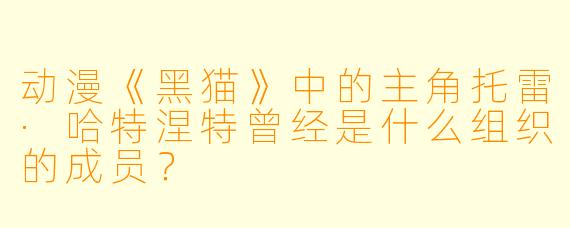动漫《黑猫》中的主角托雷·哈特涅特曾经是什么组织的成员？